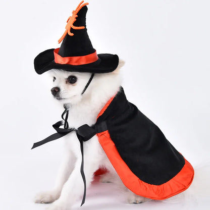 Halloween Dog & Cat Costume – Funny Small Dog Jacket & Creative Pet Outfit
