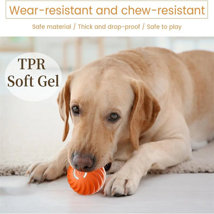 PawMotion Smart Interactive Pet Ball