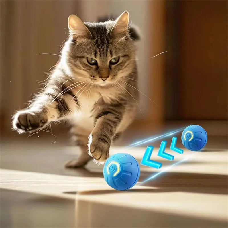 PawMotion Smart Interactive Pet Ball