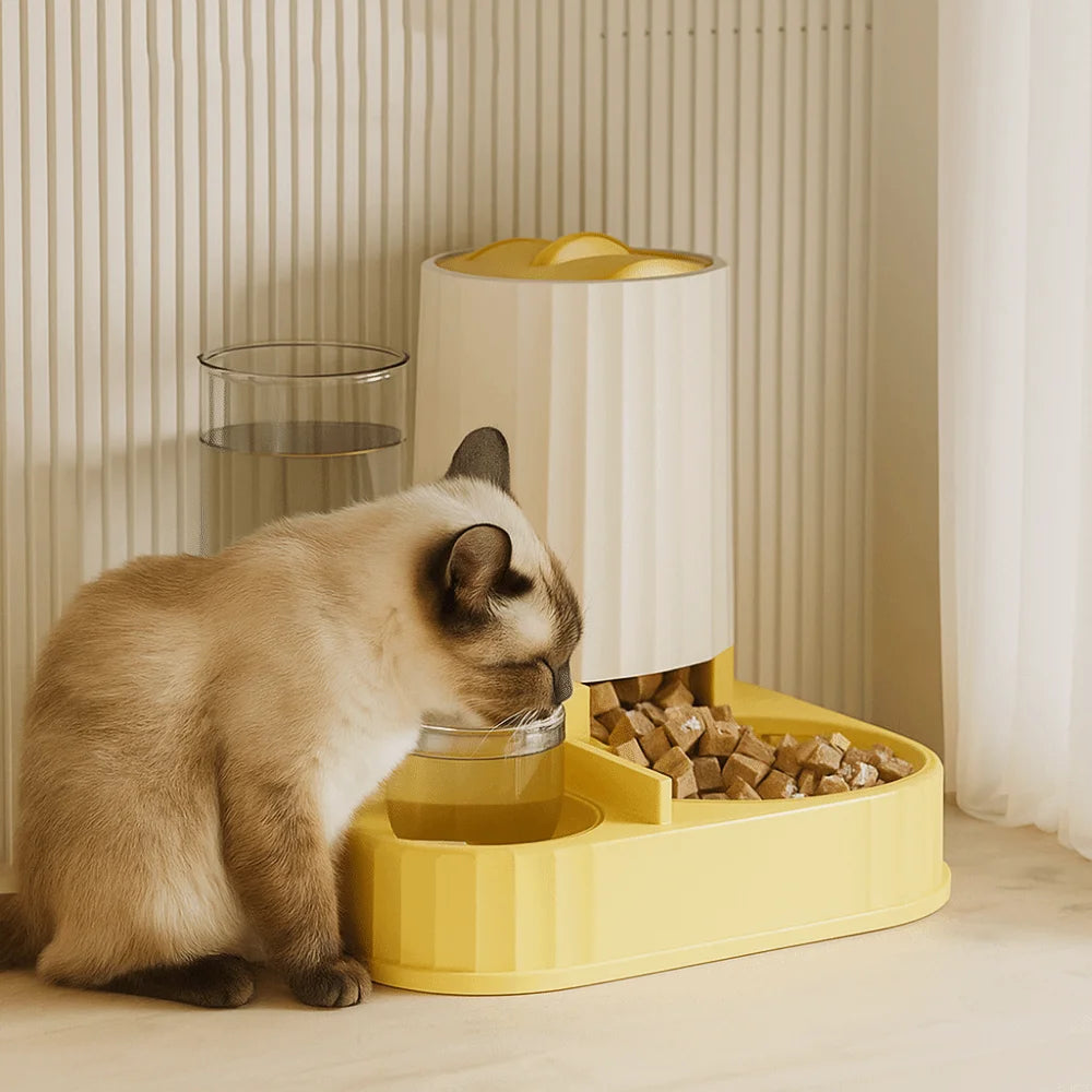 2-in-1 Cat Automatic Feeder Large Capacity Detachable Pet Water Dispenser Dry Wet Separation Cat Dog Food Bowl Drinking
