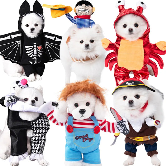 Halloween Dog & Cat Costume – Funny Small Dog Jacket & Creative Pet Outfit