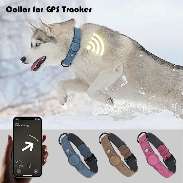 GPS Tracker Holder Collar for Dogs Soft PU Leather Padded Dogs Collar With GPS Tracker Case Adjustable Small Medium Dogs Collars