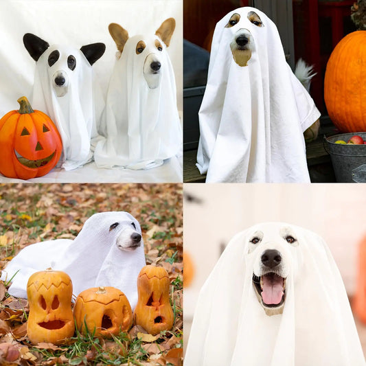 Halloween Pet Ghost Costume – Spooky Cute Dog & Cat Cape for Halloween Cosplay