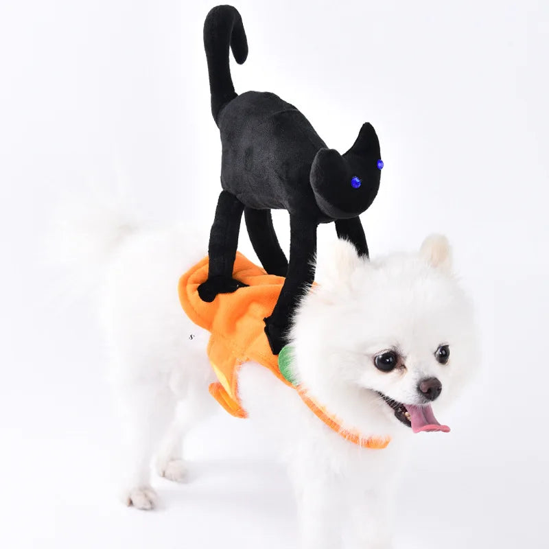 Halloween Dog & Cat Costume – Funny Small Dog Jacket & Creative Pet Outfit