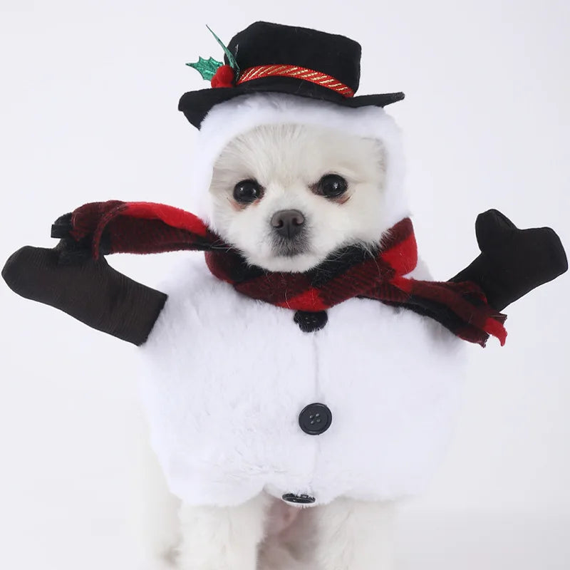 Halloween Dog & Cat Costume – Funny Small Dog Jacket & Creative Pet Outfit