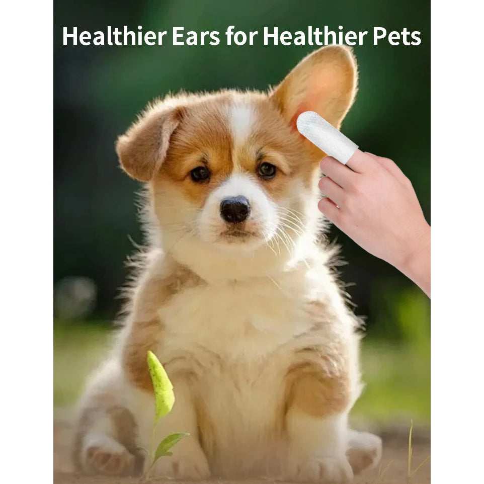 Pet Ear Cleaning Wipes – Gentle Ear Care, Mite Removal & Hygiene for Dogs & Cats