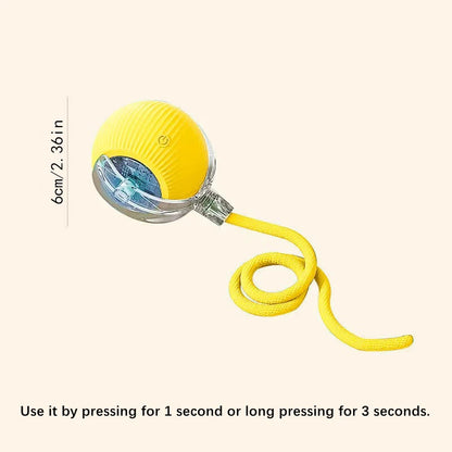PawMotion Smart Interactive Pet Ball
