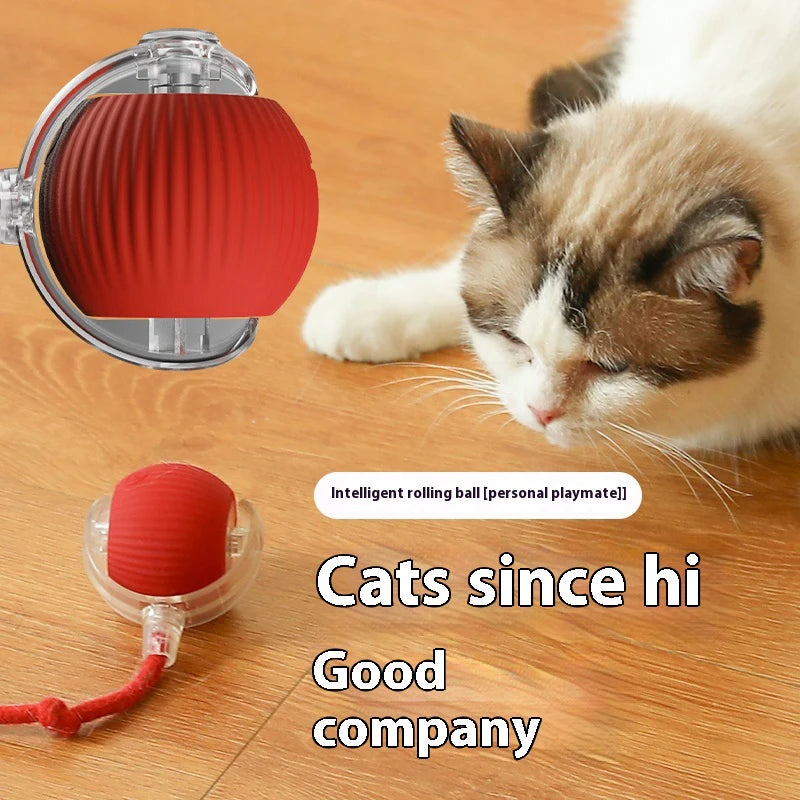 Cat Interactive Ball Toy – Automatic Rolling Rubber Ball for Fun & Exercise