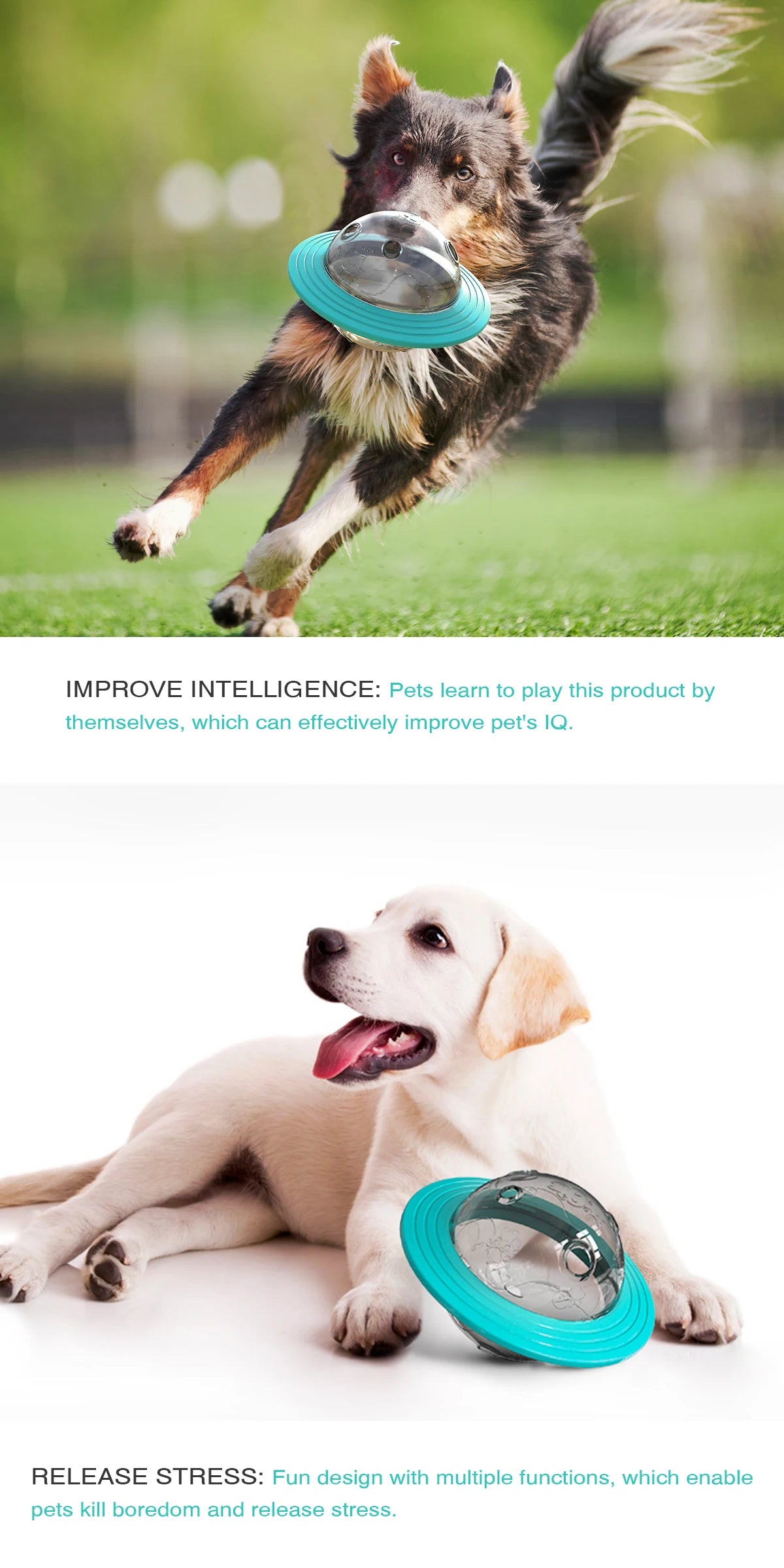 SmartFetch™ Interactive Flying Feeder Toy