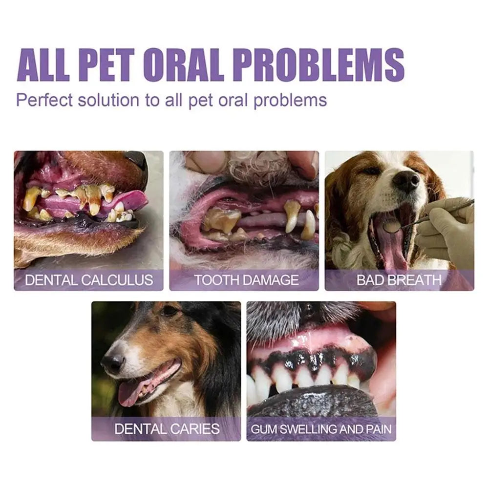 Pet Teeth Cleaning Pen – Removes Tartar & Plaque, Freshens Breath, and Repairs Gums for Dogs & Cats