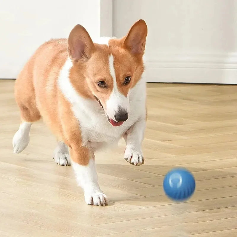 PawMotion Smart Interactive Pet Ball