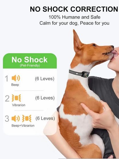 Small Dog No-Shock Bark Collar, Rechargeable, Adjustable