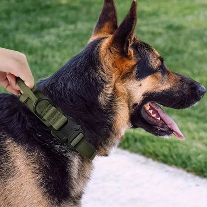 🔥 Product Name: K9Guard™ Tactical Dog Collar with Handle