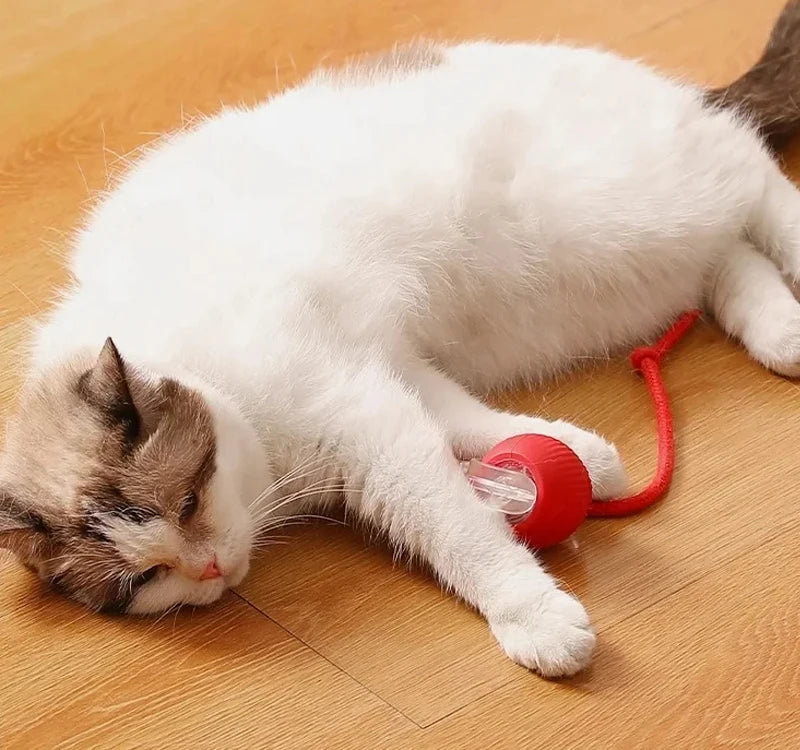 Cat Interactive Ball Toy – Automatic Rolling Rubber Ball for Fun & Exercise