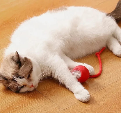 Cat Interactive Ball Toy – Automatic Rolling Rubber Ball for Fun & Exercise