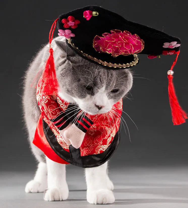 Pet Costume Clothes Suit for Cats & Dogs – Cute Cosplay Outfits for Halloween, Christmas & Parties