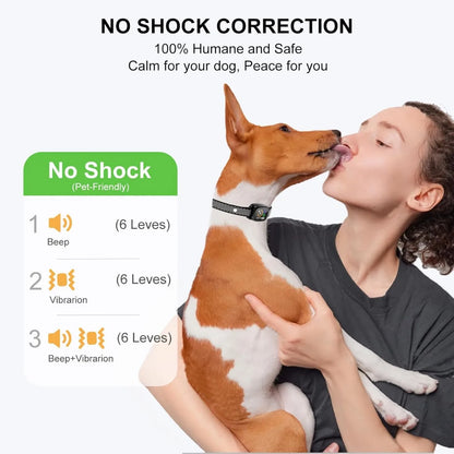 Small Dog No-Shock Bark Collar, Rechargeable, Adjustable