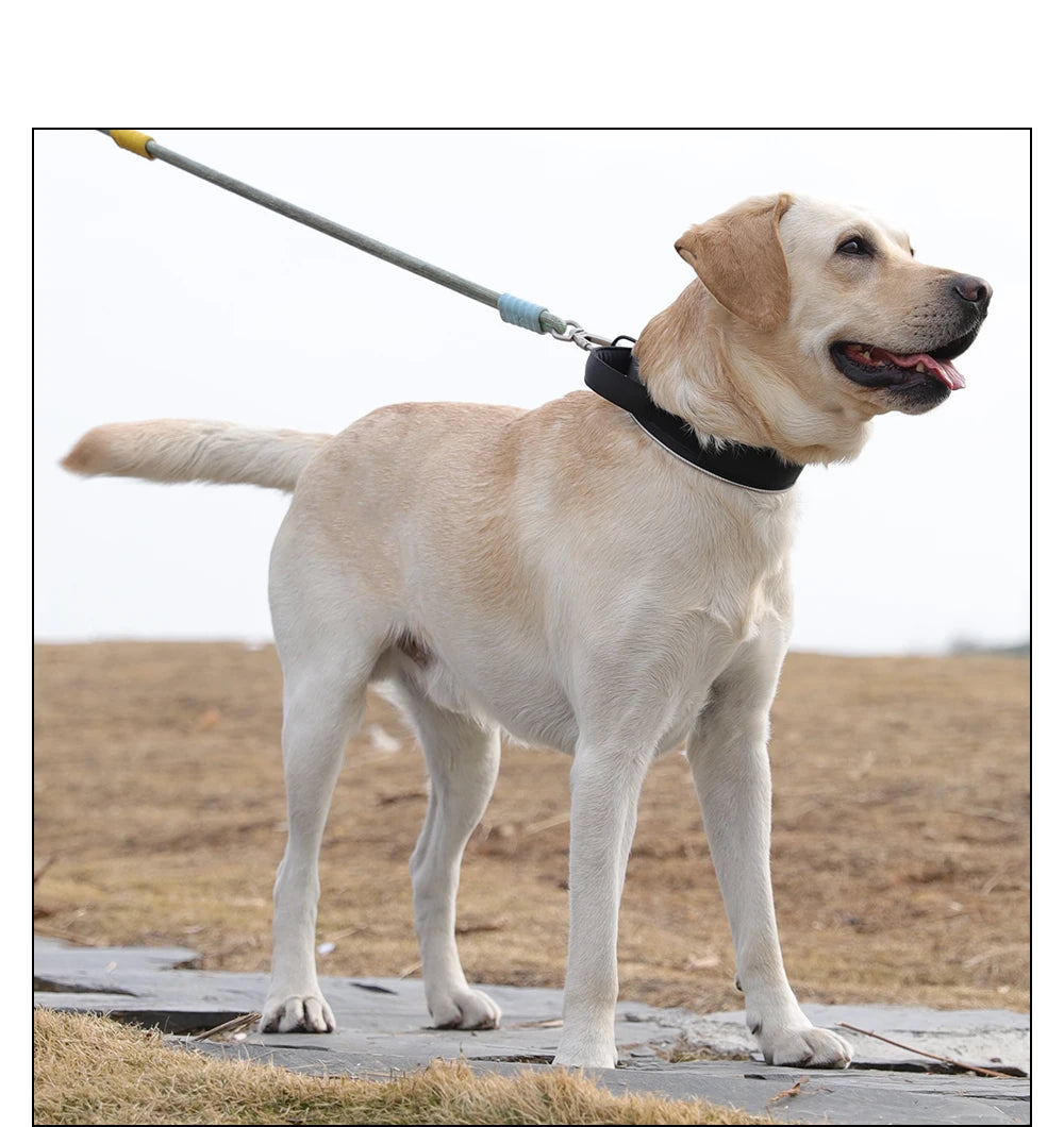 Tactical dog collar, adjustable military training nylon dog collar with control handle and high quality buckle
