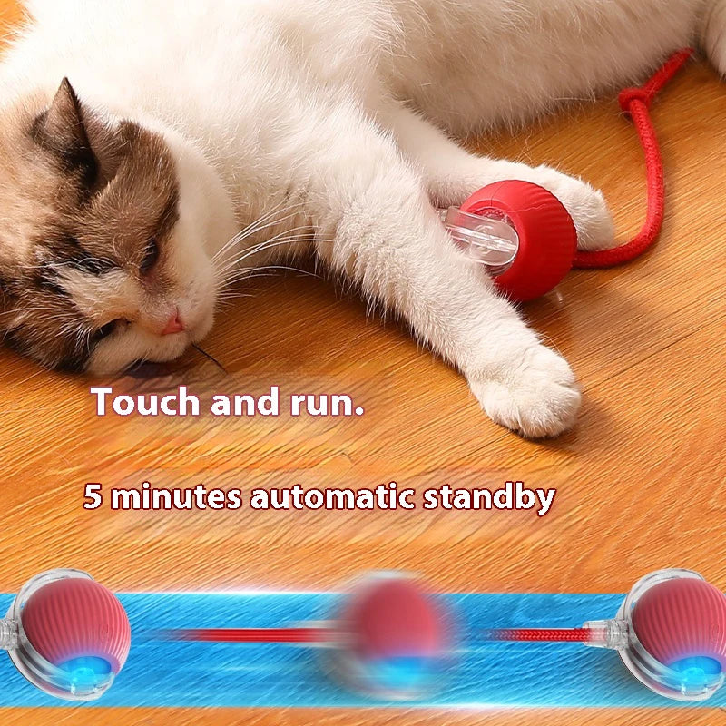 Cat Interactive Ball Toy – Automatic Rolling Rubber Ball for Fun & Exercise
