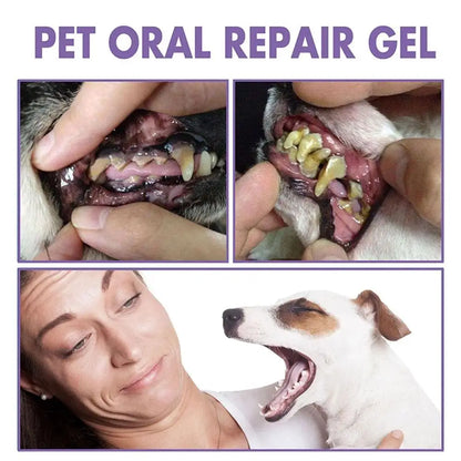 Pet Teeth Cleaning Pen – Removes Tartar & Plaque, Freshens Breath, and Repairs Gums for Dogs & Cats