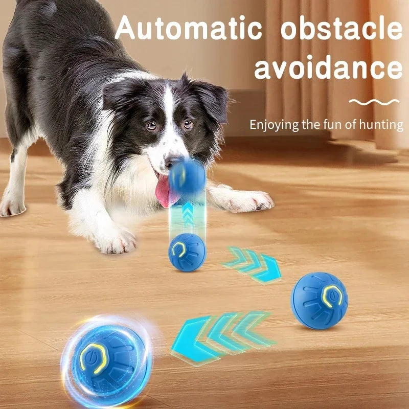 PawMotion Smart Interactive Pet Ball