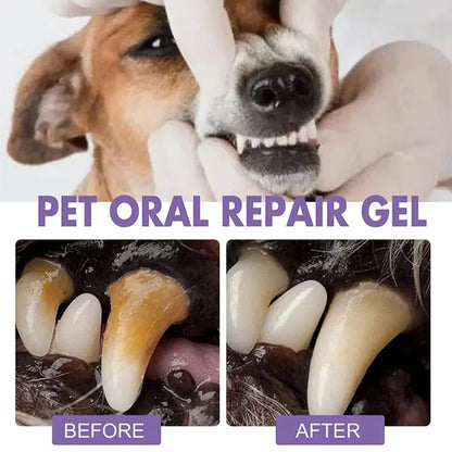 Pet Teeth Cleaning Pen – Removes Tartar & Plaque, Freshens Breath, and Repairs Gums for Dogs & Cats