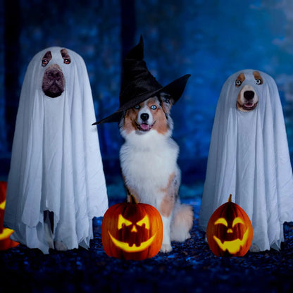 Halloween Pet Ghost Costume – Spooky Cute Dog & Cat Cape for Halloween Cosplay