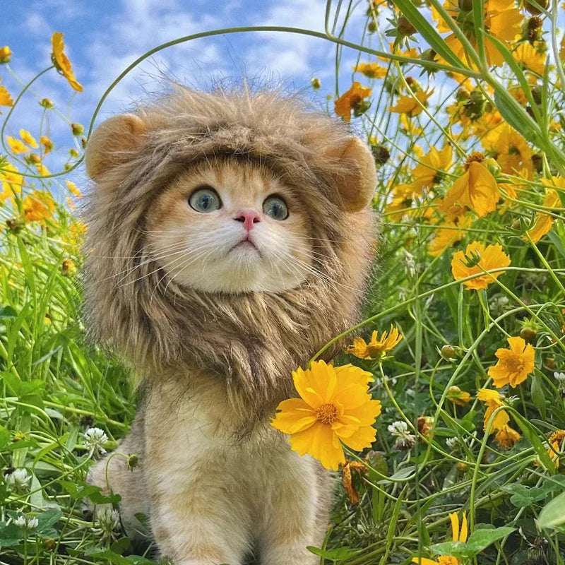 Cute Lion Mane Pet Costume Hat – Funny Cat & Dog Wig with Ears for Cosplay & Party