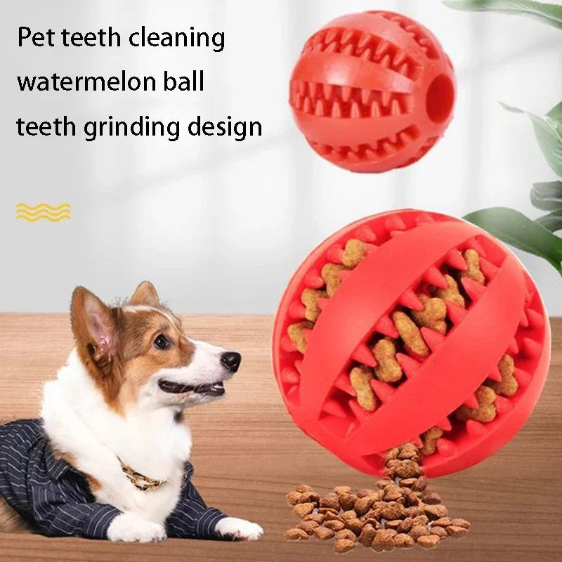 ChewBuddy™ Treat Dispensing Ball