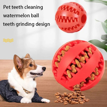 ChewBuddy™ Treat Dispensing Ball