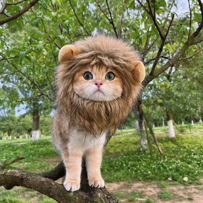 Cute Lion Mane Pet Costume Hat – Funny Cat & Dog Wig with Ears for Cosplay & Party