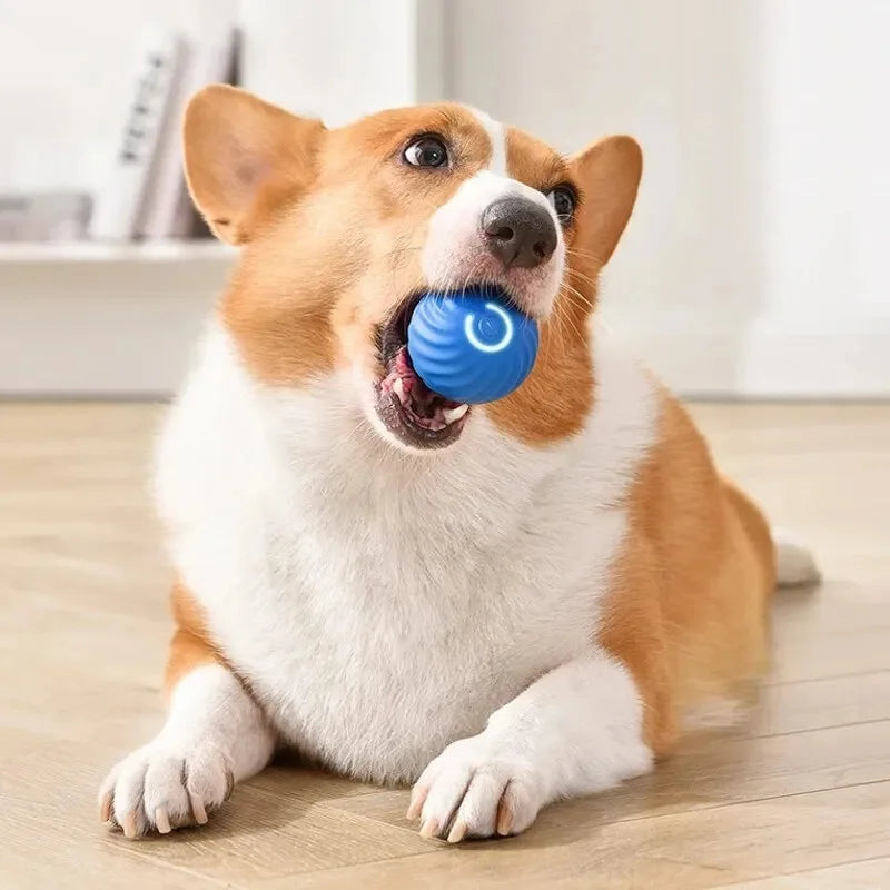 PawMotion Smart Interactive Pet Ball