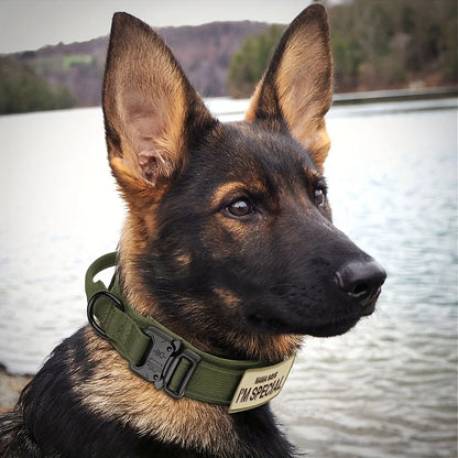 🔥 Product Name: K9Guard™ Tactical Dog Collar with Handle