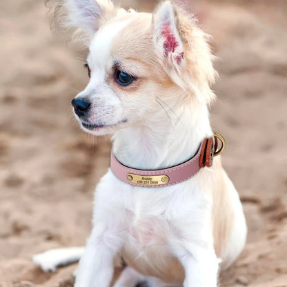 Personalized Dog Collar Dog Leather Padded Pet ID Collar Free Engraved Puppy Collars Reflective For Small Medium Large Dogs