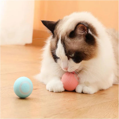 PawMotion Smart Interactive Pet Ball