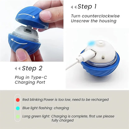 PawMotion Smart Interactive Pet Ball