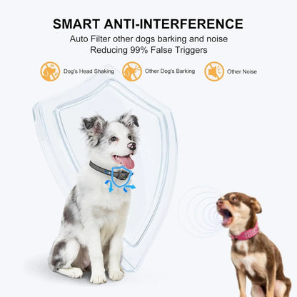 Small Dog No-Shock Bark Collar, Rechargeable, Adjustable