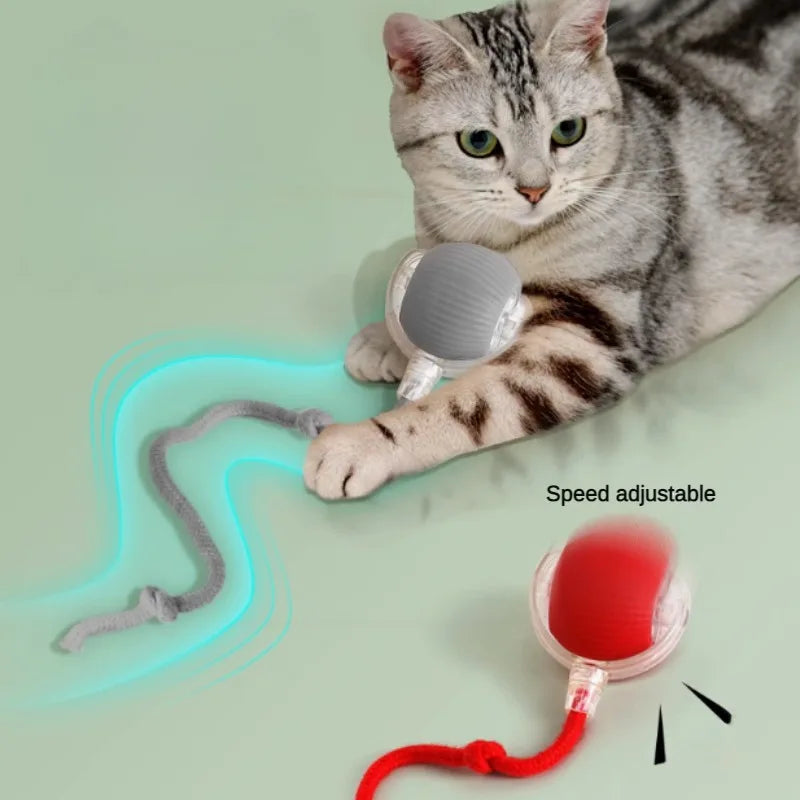 Cat Interactive Ball Toy – Automatic Rolling Rubber Ball for Fun & Exercise