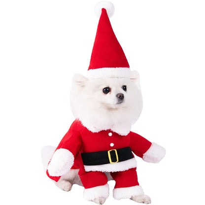 Halloween Dog & Cat Costume – Funny Small Dog Jacket & Creative Pet Outfit