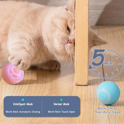 PawMotion Smart Interactive Pet Ball