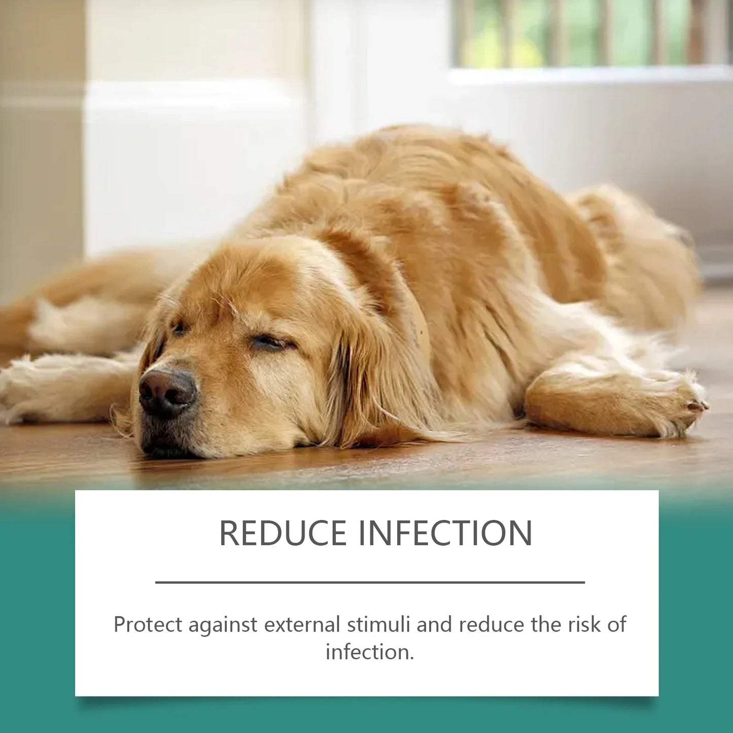 Pet Skin Repair Spray – Soothes Dryness, Redness & Itching for Puppies & Kittens