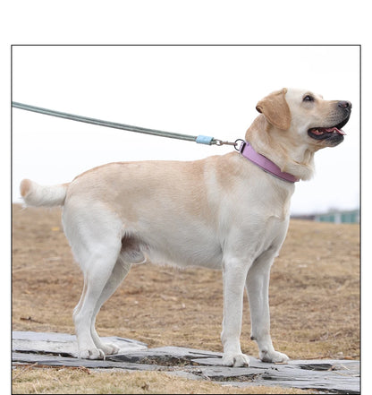 Tactical dog collar, adjustable military training nylon dog collar with control handle and high quality buckle