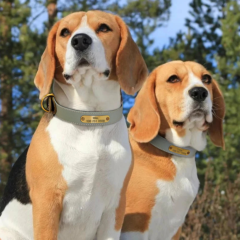 Personalized Dog Collar Dog Leather Padded Pet ID Collar Free Engraved Puppy Collars Reflective For Small Medium Large Dogs