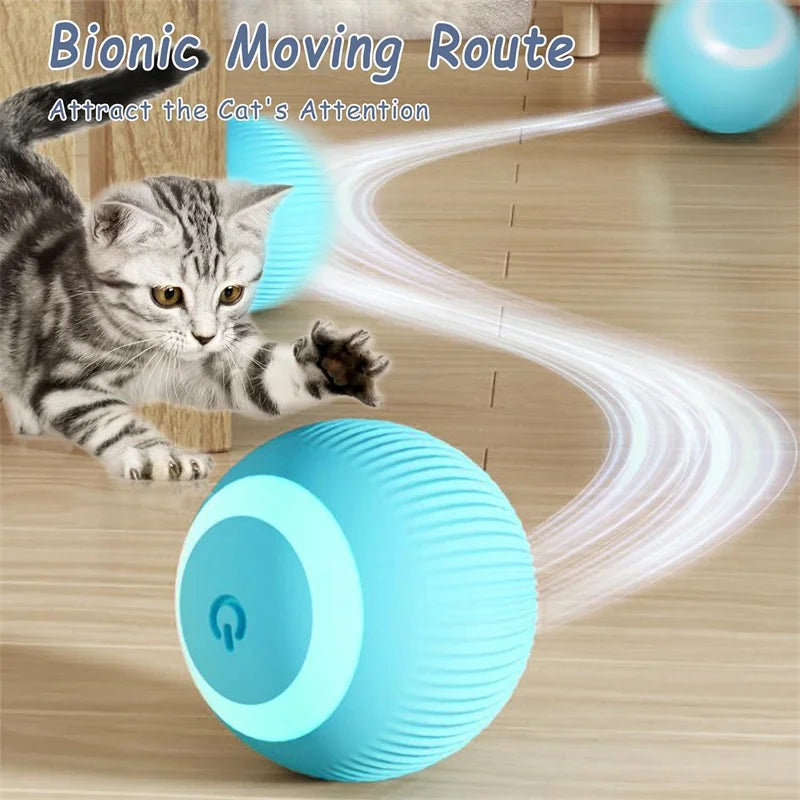 PawMotion Smart Interactive Pet Ball