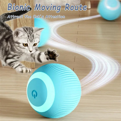 PawMotion Smart Interactive Pet Ball