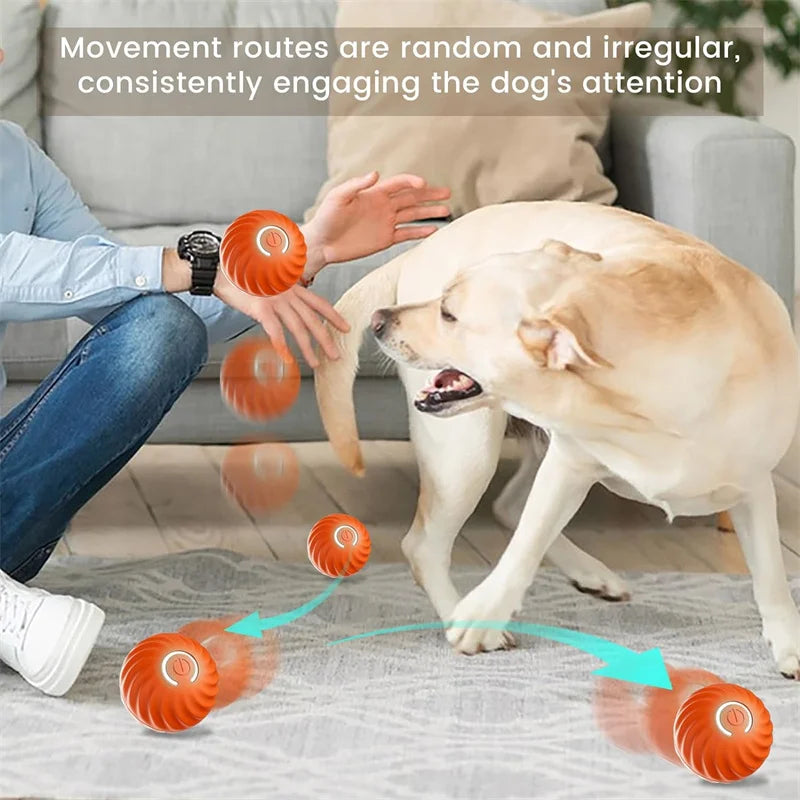 PawMotion Smart Interactive Pet Ball