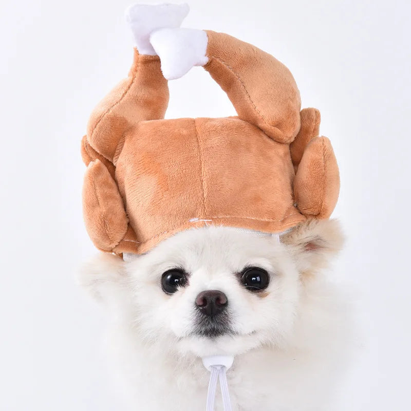 Halloween Dog & Cat Costume – Funny Small Dog Jacket & Creative Pet Outfit