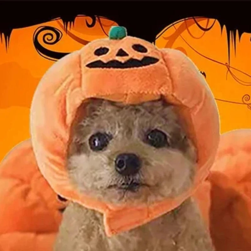 Halloween Pet Pumpkin Hat – Cat & Dog Costume Headgear for Small, Medium & Large Dogs