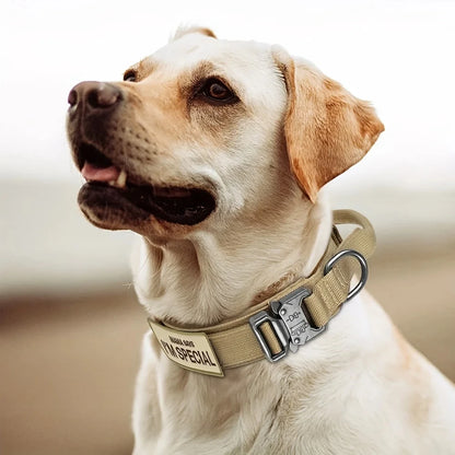 Tactical dog collar with handle for medium and large dogs, military-spec nylon collar, quick-release metal buckle
