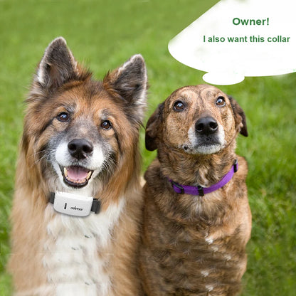 TK-STAR TK909 GPS Pet Tracker – GSM SMS GPRS Tracker with Free App